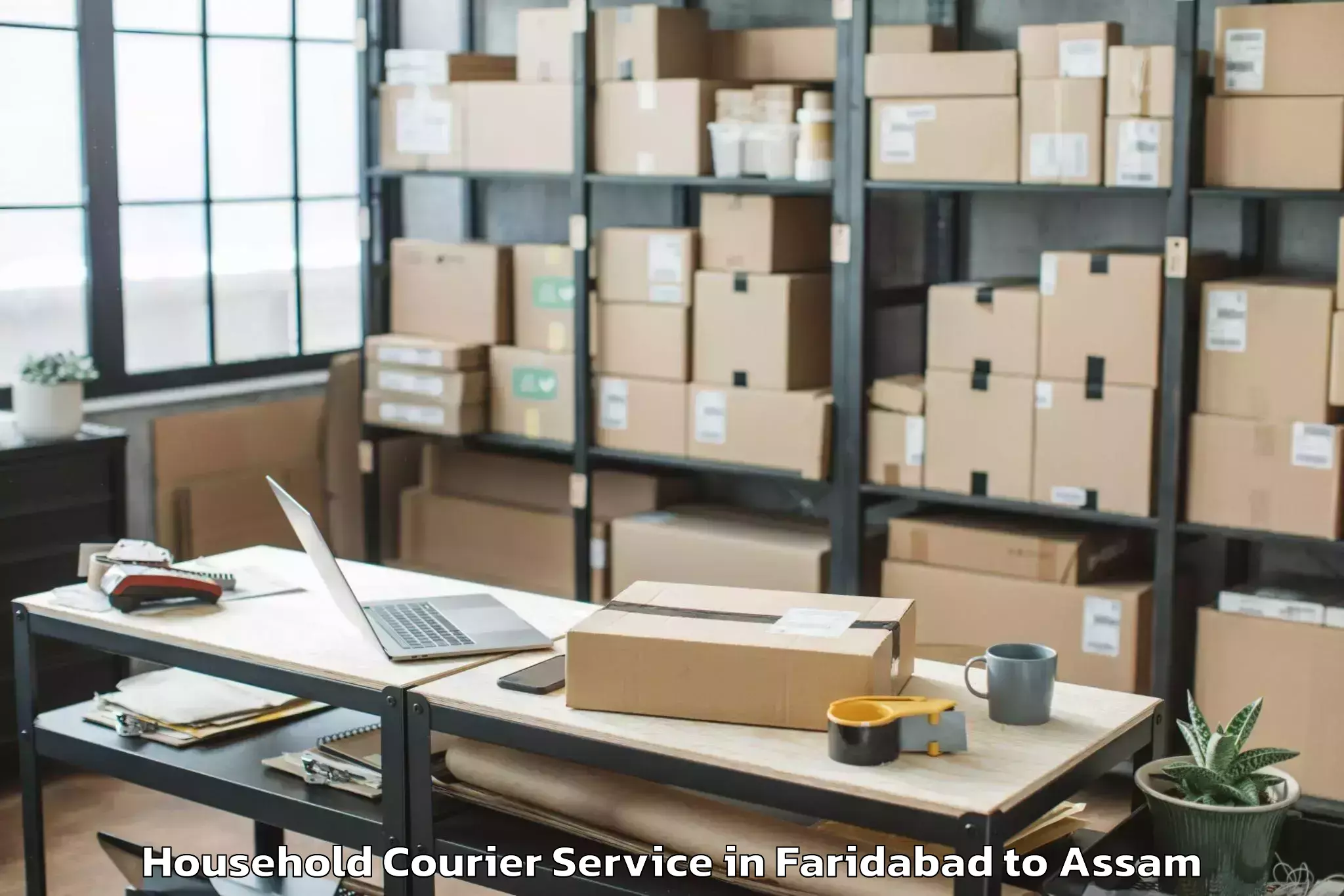 Hassle-Free Faridabad to Silapathar Household Courier